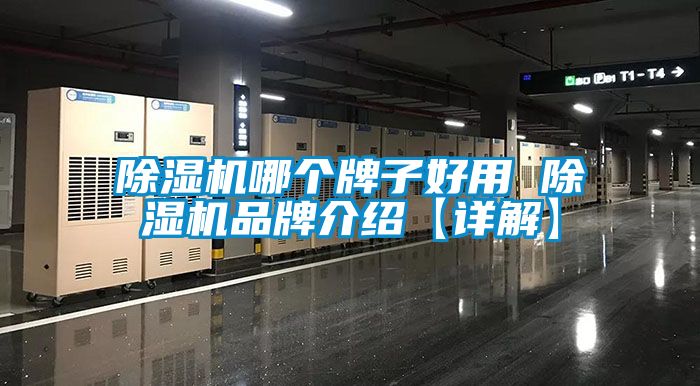 除濕機哪個牌子好用 除濕機品牌介紹【詳解】