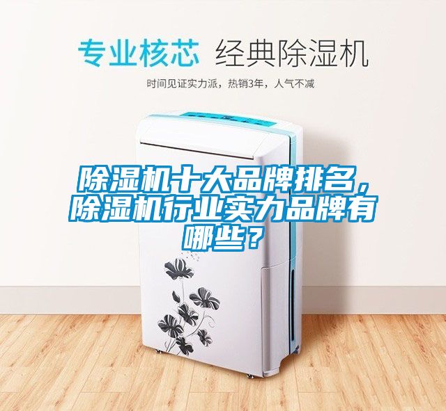除濕機(jī)十大品牌排名，除濕機(jī)行業(yè)實(shí)力品牌有哪些？