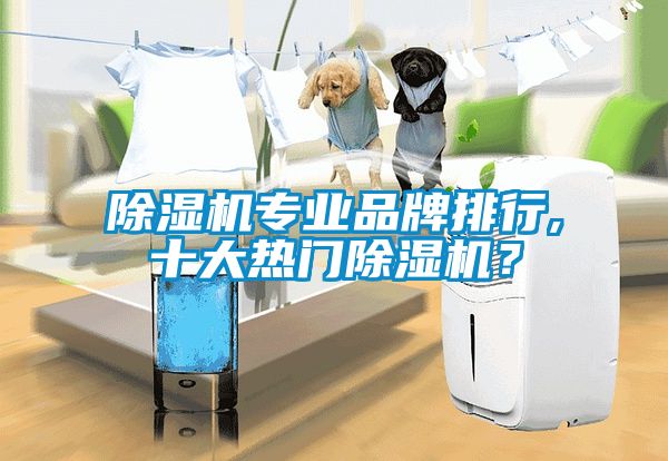 除濕機(jī)專業(yè)品牌排行,十大熱門除濕機(jī)？