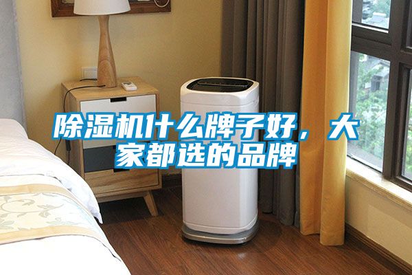 除濕機什么牌子好，大家都選的品牌