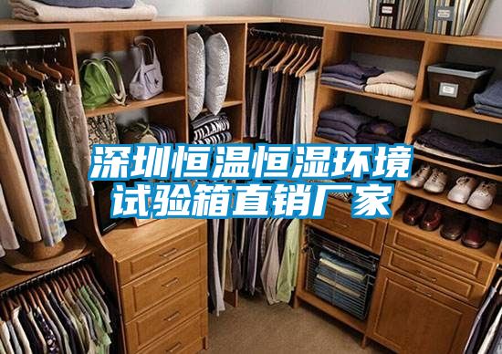 深圳恒溫恒濕環(huán)境試驗箱直銷廠家