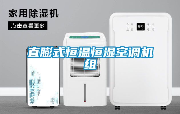 直膨式恒溫恒濕空調(diào)機組