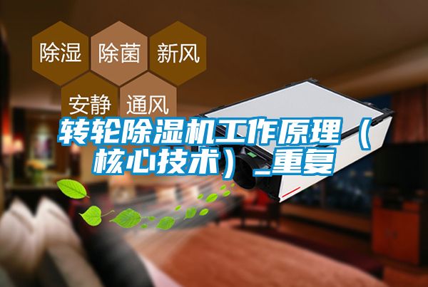 轉(zhuǎn)輪除濕機(jī)工作原理（核心技術(shù)）_重復(fù)