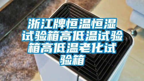 浙江牌恒溫恒濕試驗(yàn)箱高低溫試驗(yàn)箱高低溫老化試驗(yàn)箱