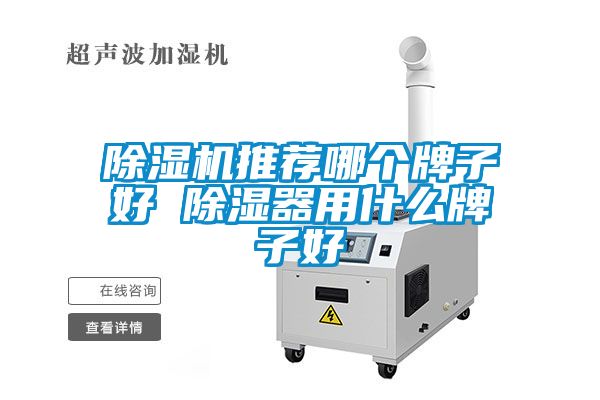 除濕機(jī)推薦哪個牌子好 除濕器用什么牌子好