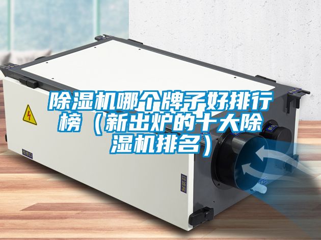 除濕機(jī)哪個牌子好排行榜（新出爐的十大除濕機(jī)排名）