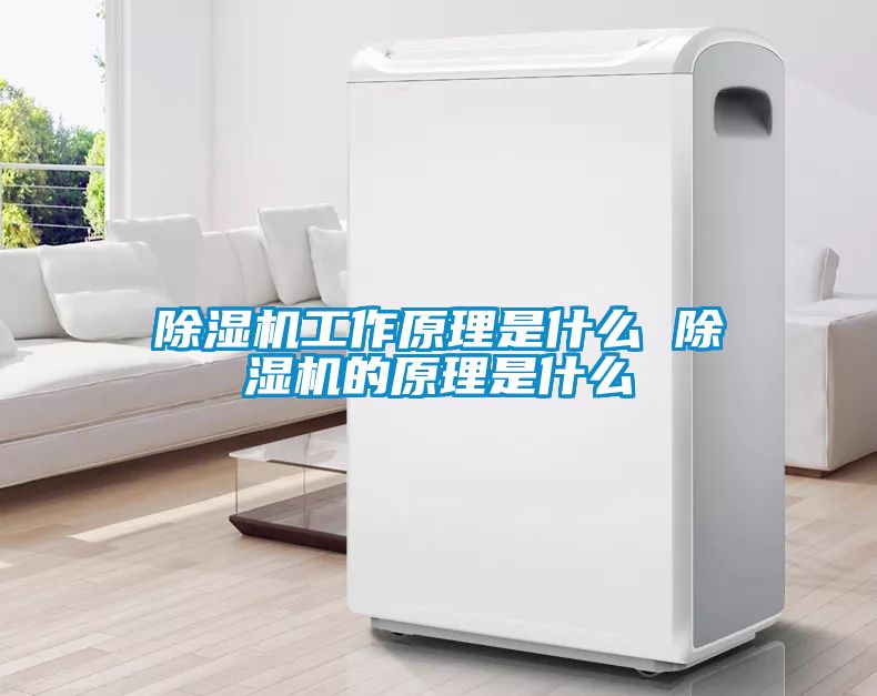 除濕機(jī)工作原理是什么 除濕機(jī)的原理是什么