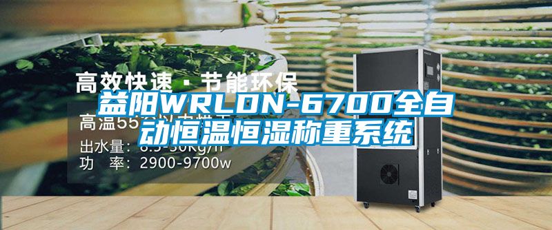 益陽WRLDN-6700全自動恒溫恒濕稱重系統(tǒng)