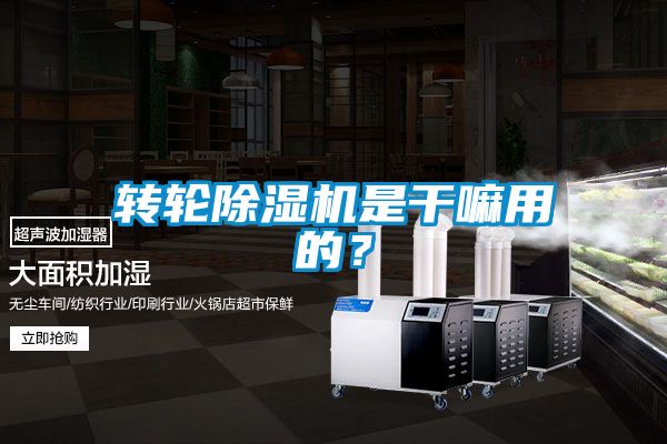 轉(zhuǎn)輪除濕機(jī)是干嘛用的？