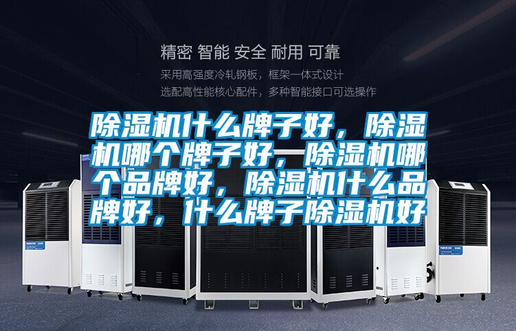 除濕機什么牌子好，除濕機哪個牌子好，除濕機哪個品牌好，除濕機什么品牌好，什么牌子除濕機好