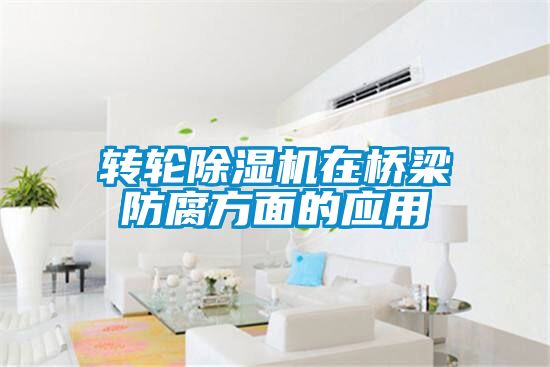 轉(zhuǎn)輪除濕機在橋梁防腐方面的應(yīng)用
