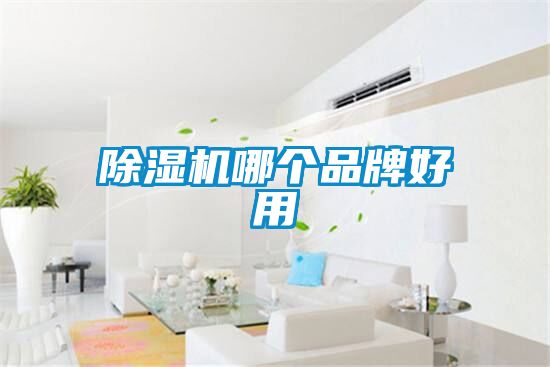 除濕機(jī)哪個(gè)品牌好用