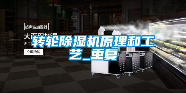 轉(zhuǎn)輪除濕機原理和工藝_重復