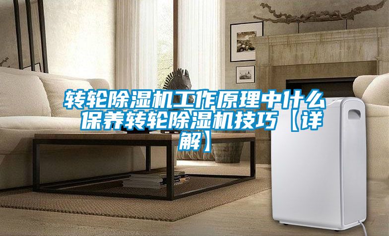 轉(zhuǎn)輪除濕機(jī)工作原理中什么 保養(yǎng)轉(zhuǎn)輪除濕機(jī)技巧【詳解】
