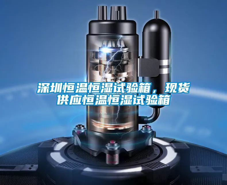 深圳恒溫恒濕試驗箱，現(xiàn)貨供應恒溫恒濕試驗箱