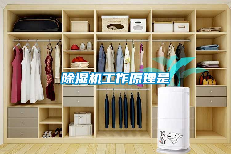 除濕機(jī)工作原理是