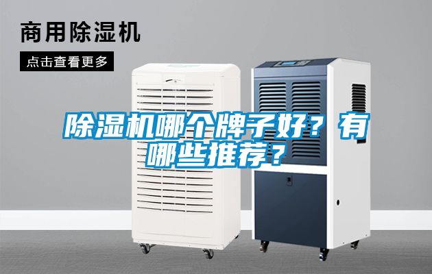 除濕機哪個牌子好？有哪些推薦？