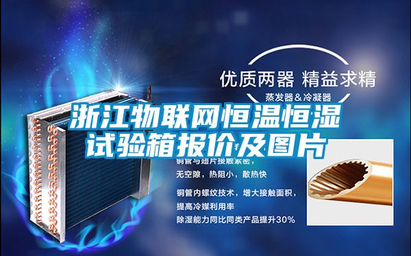 浙江物聯(lián)網(wǎng)恒溫恒濕試驗(yàn)箱報價及圖片