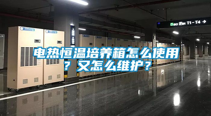電熱恒溫培養(yǎng)箱怎么使用？又怎么維護(hù)？