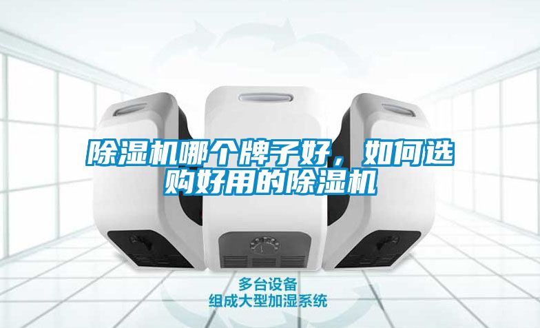 除濕機(jī)哪個牌子好，如何選購好用的除濕機(jī)