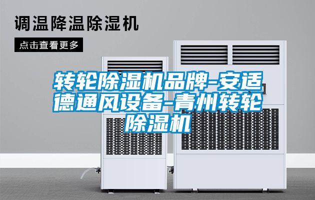 轉(zhuǎn)輪除濕機品牌-安適德通風設(shè)備-青州轉(zhuǎn)輪除濕機