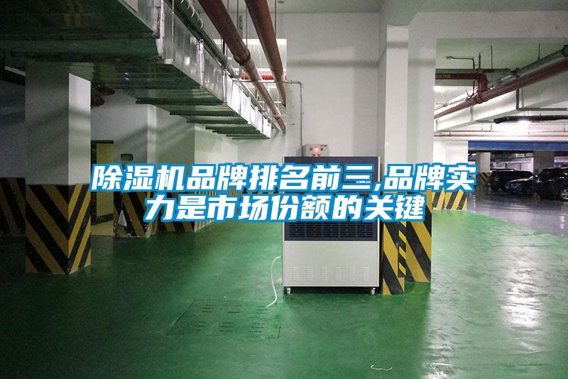 除濕機(jī)品牌排名前三,品牌實(shí)力是市場(chǎng)份額的關(guān)鍵