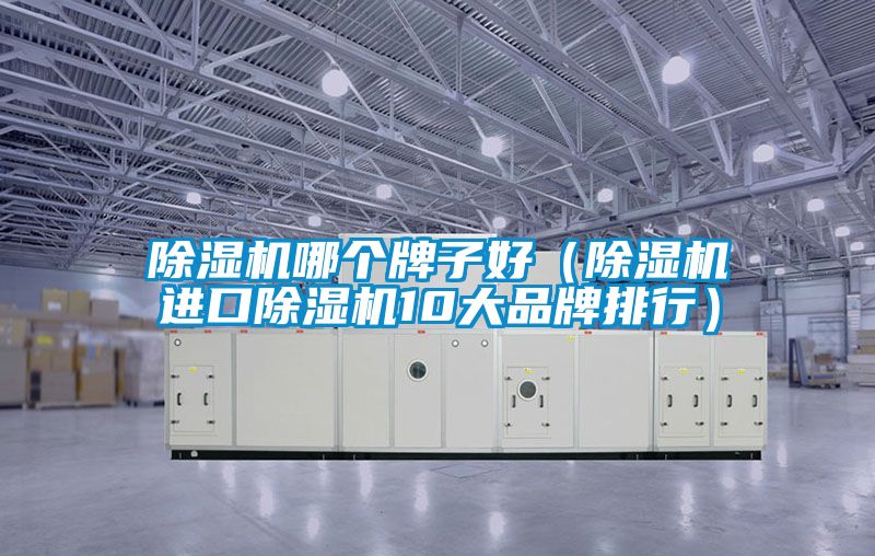 除濕機哪個牌子好（除濕機進口除濕機10大品牌排行）