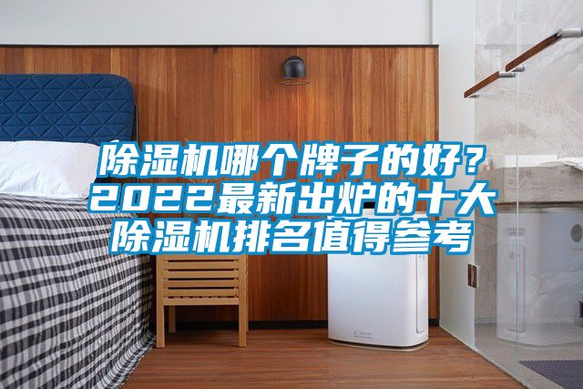 除濕機哪個牌子的好？2022最新出爐的十大除濕機排名值得參考