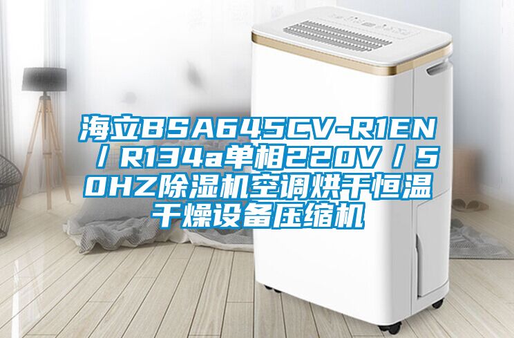 海立BSA645CV-R1EN／R134a單相220V／50HZ除濕機(jī)空調(diào)烘干恒溫干燥設(shè)備壓縮機(jī)