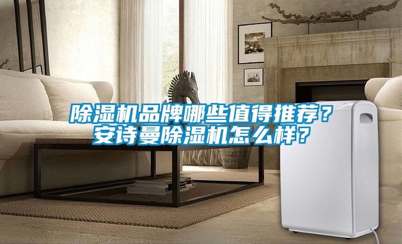 除濕機(jī)品牌哪些值得推薦？安詩曼除濕機(jī)怎么樣？