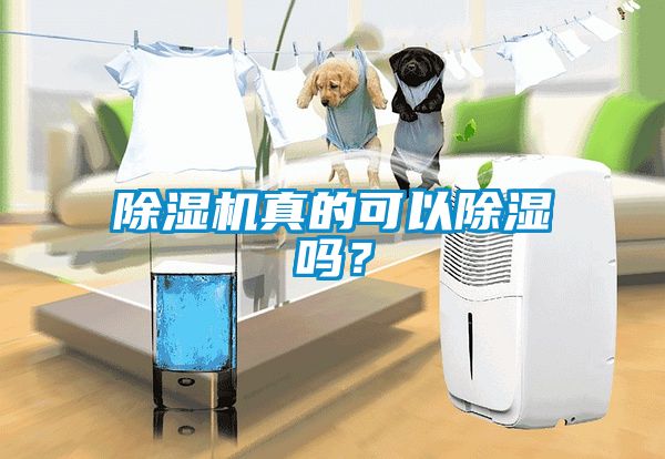 除濕機(jī)真的可以除濕嗎？