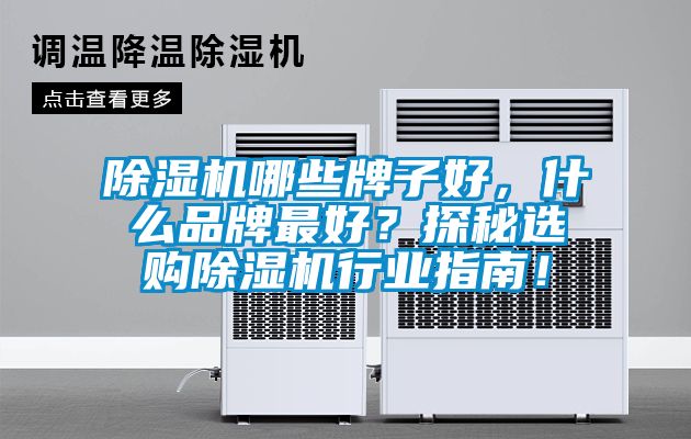 除濕機(jī)哪些牌子好，什么品牌最好？探秘選購(gòu)除濕機(jī)行業(yè)指南！
