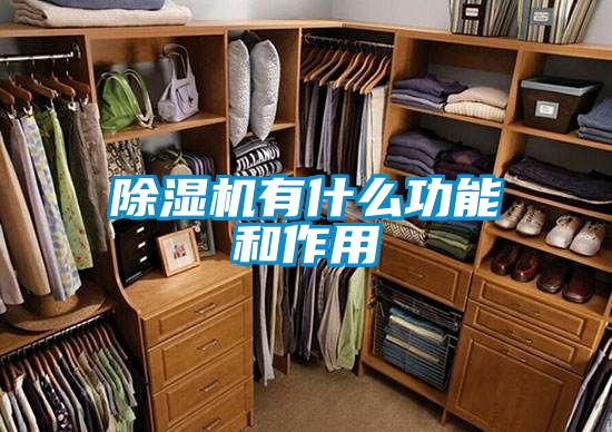 除濕機(jī)有什么功能和作用