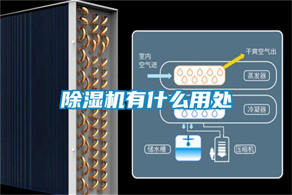 除濕機(jī)有什么用處