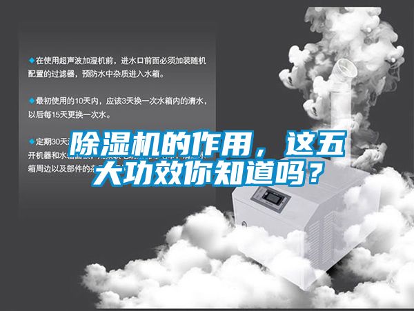 除濕機的作用，這五大功效你知道嗎？