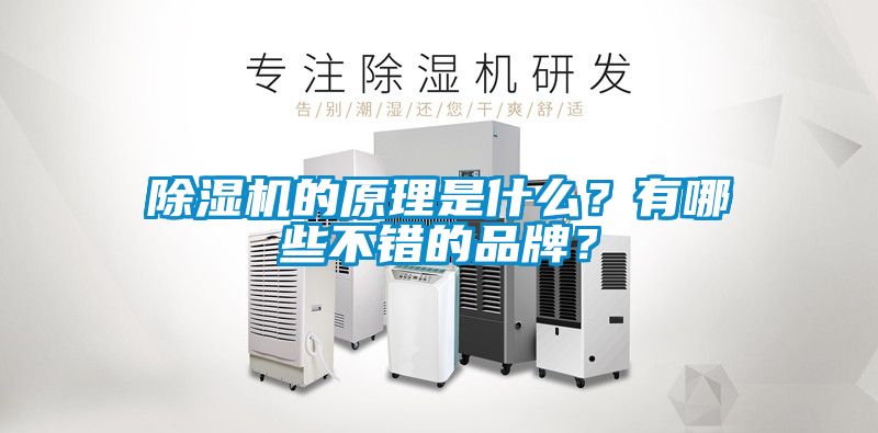 除濕機的原理是什么？有哪些不錯的品牌？