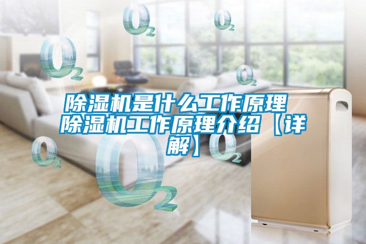 除濕機(jī)是什么工作原理 除濕機(jī)工作原理介紹【詳解】