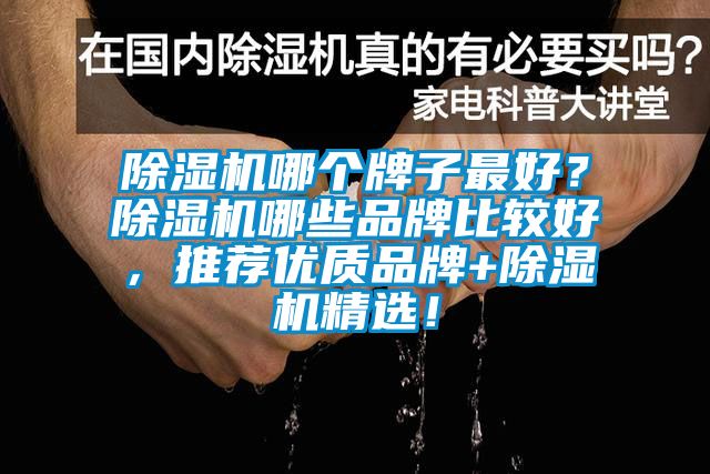 除濕機哪個牌子最好？除濕機哪些品牌比較好，推薦優(yōu)質(zhì)品牌+除濕機精選！