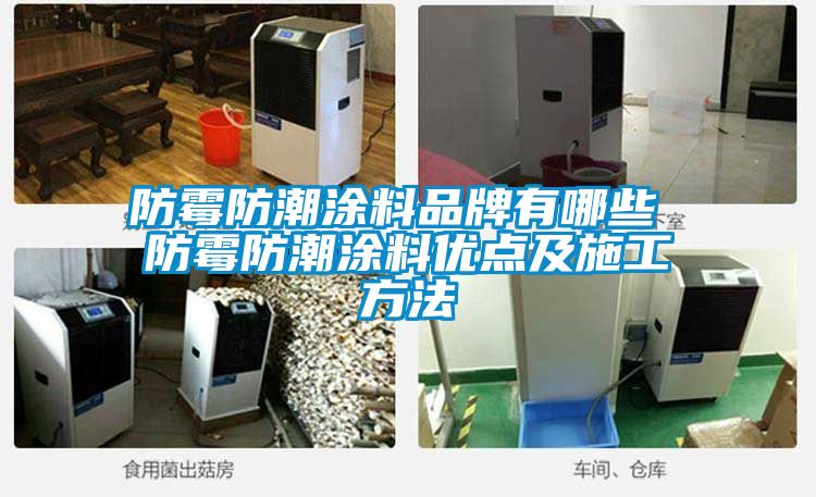 防霉防潮涂料品牌有哪些 防霉防潮涂料優(yōu)點(diǎn)及施工方法