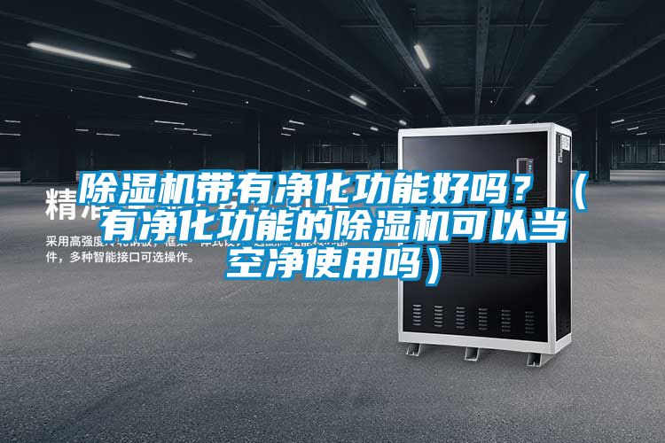 除濕機帶有凈化功能好嗎？（有凈化功能的除濕機可以當空凈使用嗎）