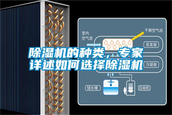 除濕機的種類，專家詳述如何選擇除濕機