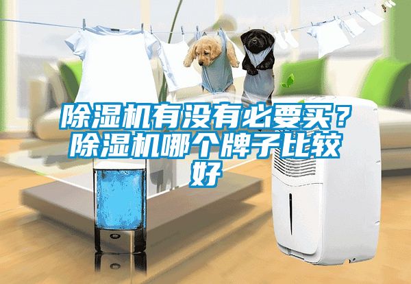 除濕機(jī)有沒(méi)有必要買(mǎi)？除濕機(jī)哪個(gè)牌子比較好