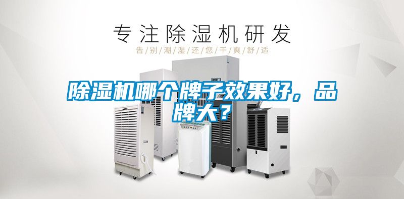 除濕機(jī)哪個(gè)牌子效果好，品牌大？