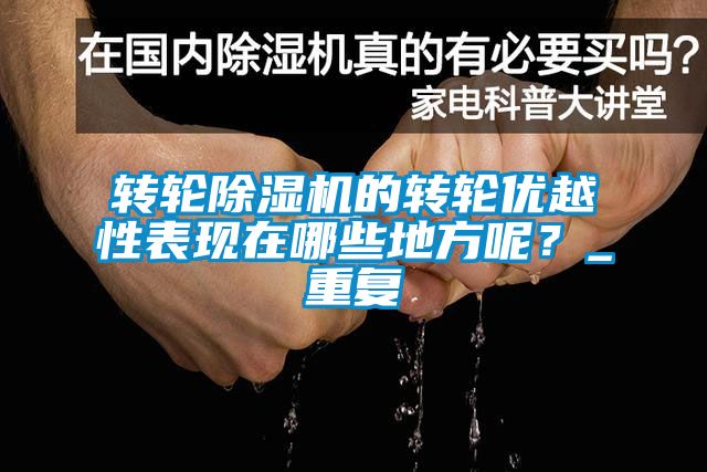 轉(zhuǎn)輪除濕機的轉(zhuǎn)輪優(yōu)越性表現(xiàn)在哪些地方呢？_重復