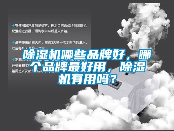 除濕機(jī)哪些品牌好，哪個品牌最好用，除濕機(jī)有用嗎？