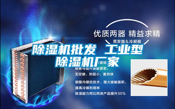 除濕機批發(fā) 工業(yè)型除濕機廠家