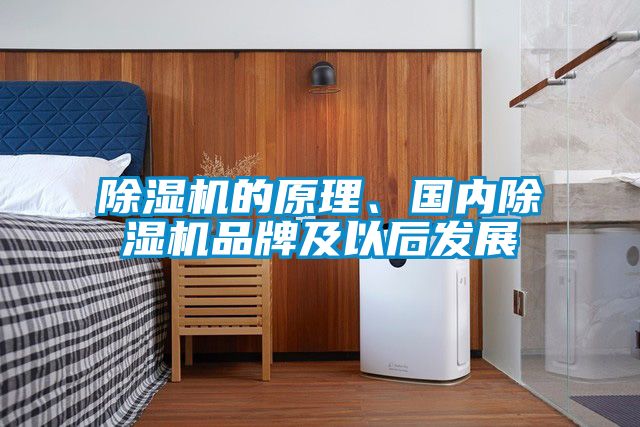 除濕機的原理、國內(nèi)除濕機品牌及以后發(fā)展