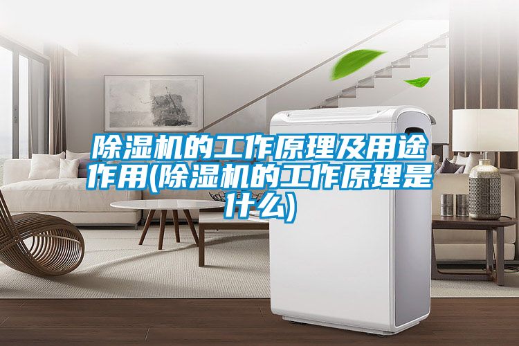 除濕機(jī)的工作原理及用途作用(除濕機(jī)的工作原理是什么)