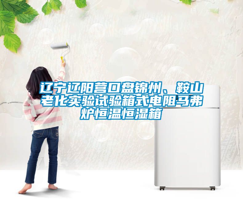 遼寧遼陽營口盤錦州、鞍山老化實驗試驗箱式電阻馬弗爐恒溫恒濕箱