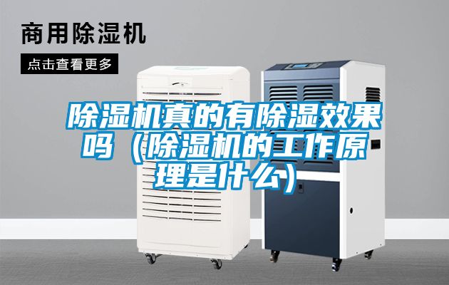 除濕機(jī)真的有除濕效果嗎（除濕機(jī)的工作原理是什么）